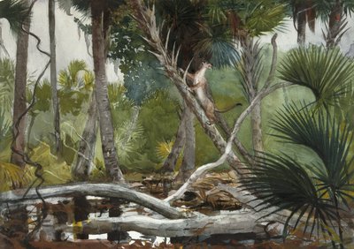 En la jungla, Florida de Winslow Homer